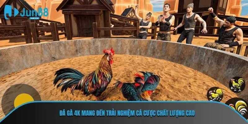 Đá gà 4K mang đến trải nghiệm cá cược chất lượng cao