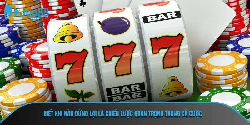 Biết khi nào dừng lại là chiến lược quan trọng trong cá cược